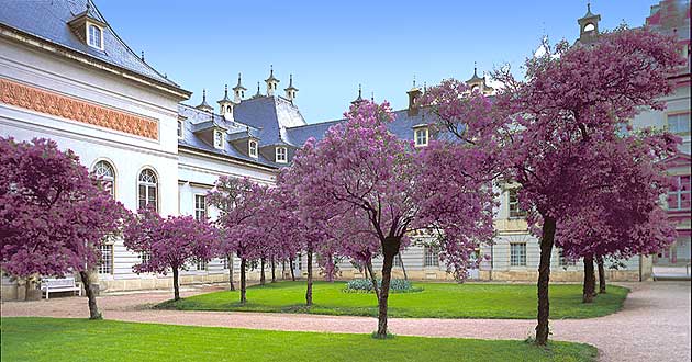 Urlaub in Dresden an der Elbe, Kurzurlaub in der Sommerresidenz der Sachsen-Knige